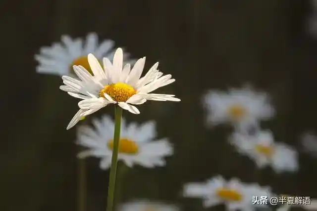 /www/bananadaily.net/web/images/image/2275/22750130.avif