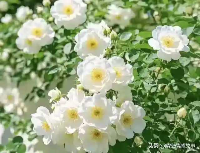 /www/bananadaily.net/web/images/image/2275/22750139.avif