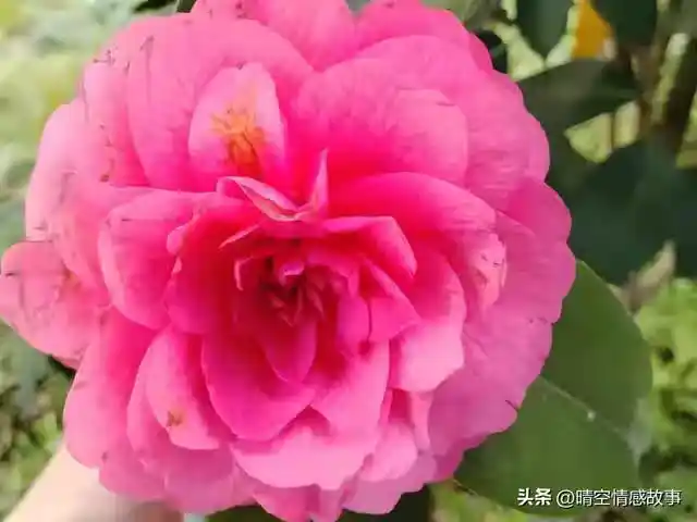 /www/bananadaily.net/web/images/image/2275/22750147.avif