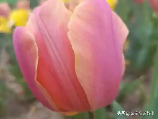 /www/bananadaily.net/web/images/image/2275/22750225.avif