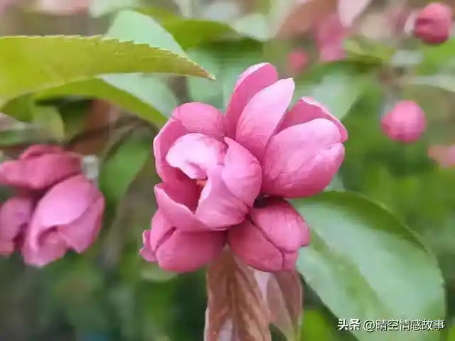 /www/bananadaily.net/web/images/image/2275/22750229.avif