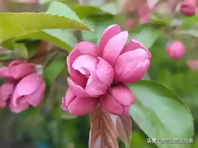 /www/bananadaily.net/web/images/image/2275/22750233.avif