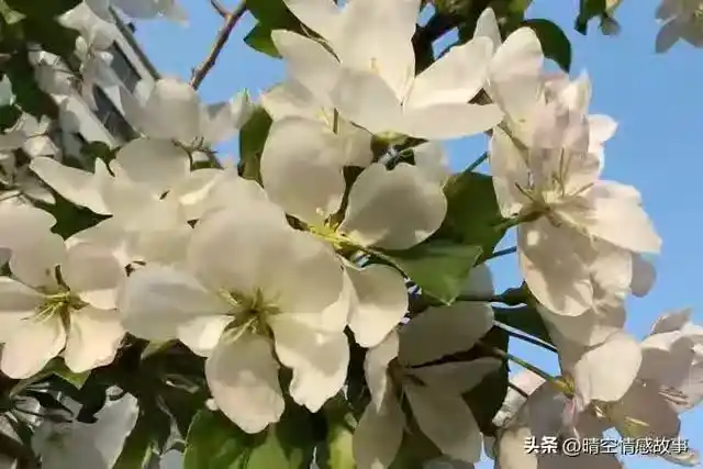 /www/bananadaily.net/web/images/image/2275/22750235.avif