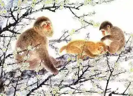 /www/bananadaily.net/web/images/image/2275/22751088.avif
