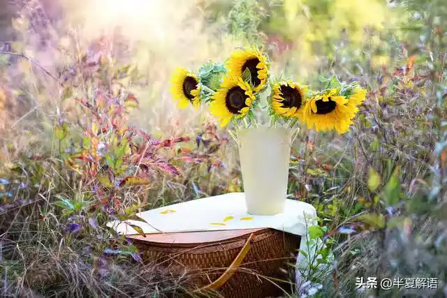 /www/bananadaily.net/web/images/image/2275/22751866.avif