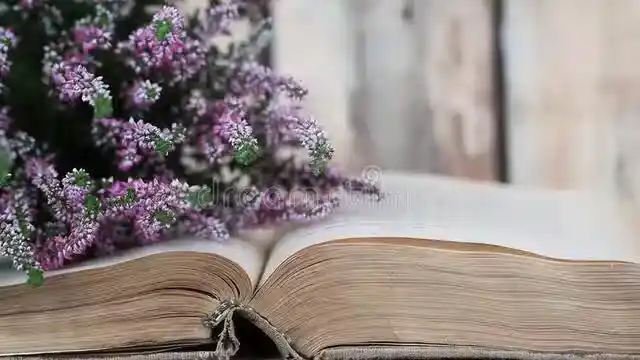 /www/bananadaily.net/web/images/image/2275/22752942.avif