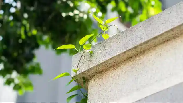 /www/bananadaily.net/web/images/image/2275/22752967.avif