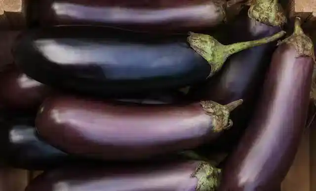 /www/bananadaily.net/web/images/image/2275/22754322.avif