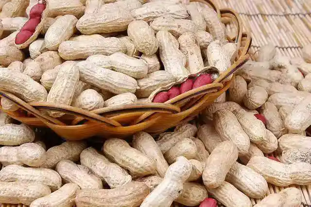 /www/bananadaily.net/web/images/image/2275/22754335.avif