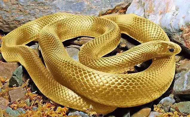 /www/bananadaily.net/web/images/image/2281/22810859.avif