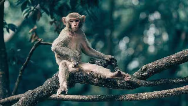 /www/bananadaily.net/web/images/image/2281/22811974.avif