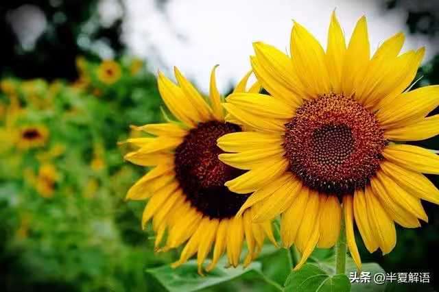 /www/bananadaily.net/web/images/image/2281/22816581.avif