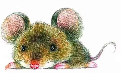 /www/bananadaily.net/web/images/image/2281/22818594.avif
