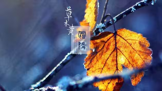 /www/bananadaily.net/web/images/image/2281/22819172.avif